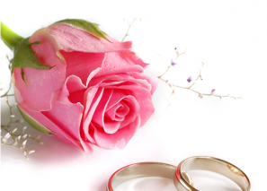 ��������� ������� �� �����